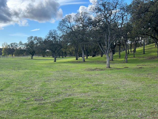 16715 Golden Arrow Drive