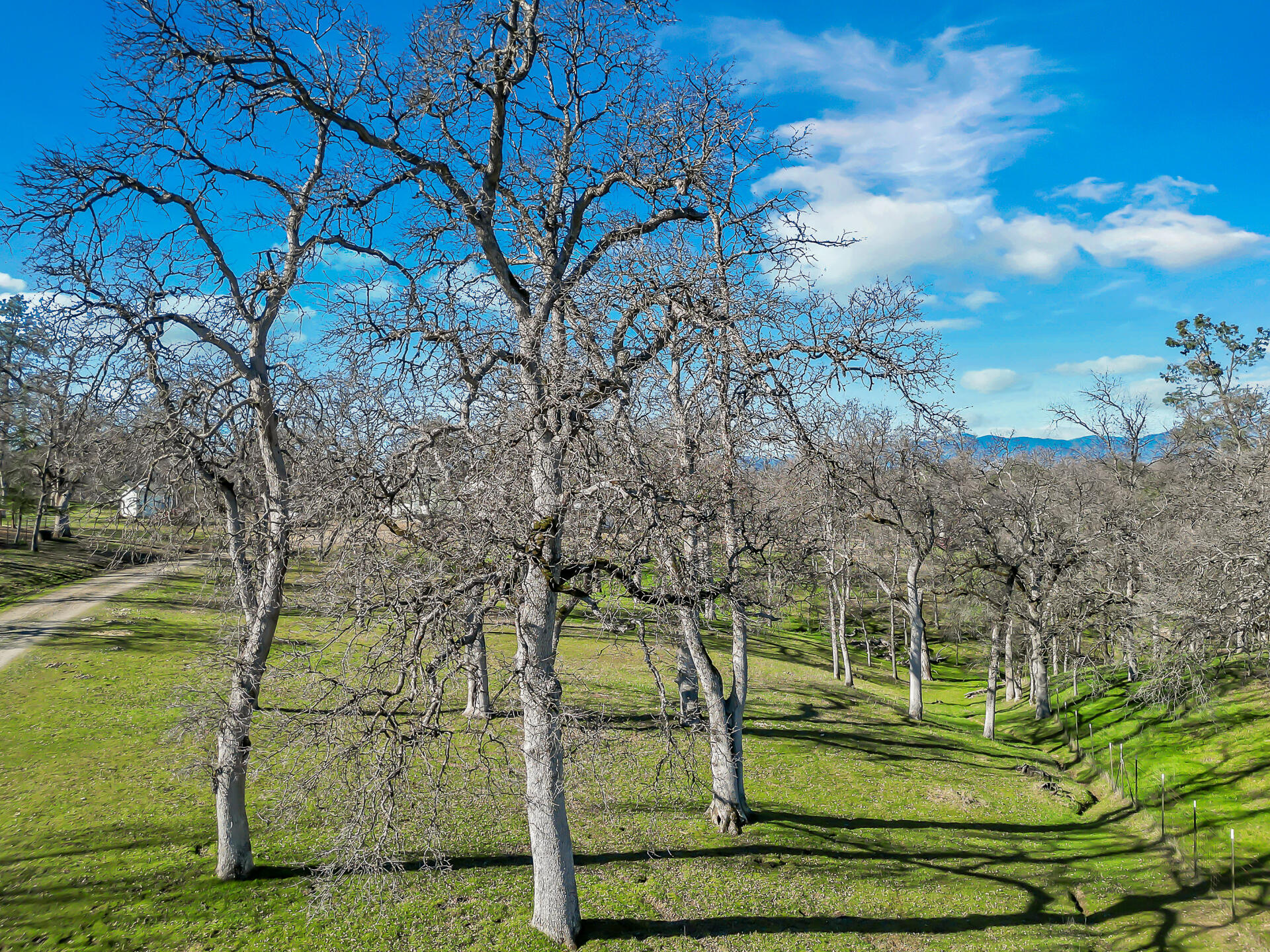 13725 Gas Point Road