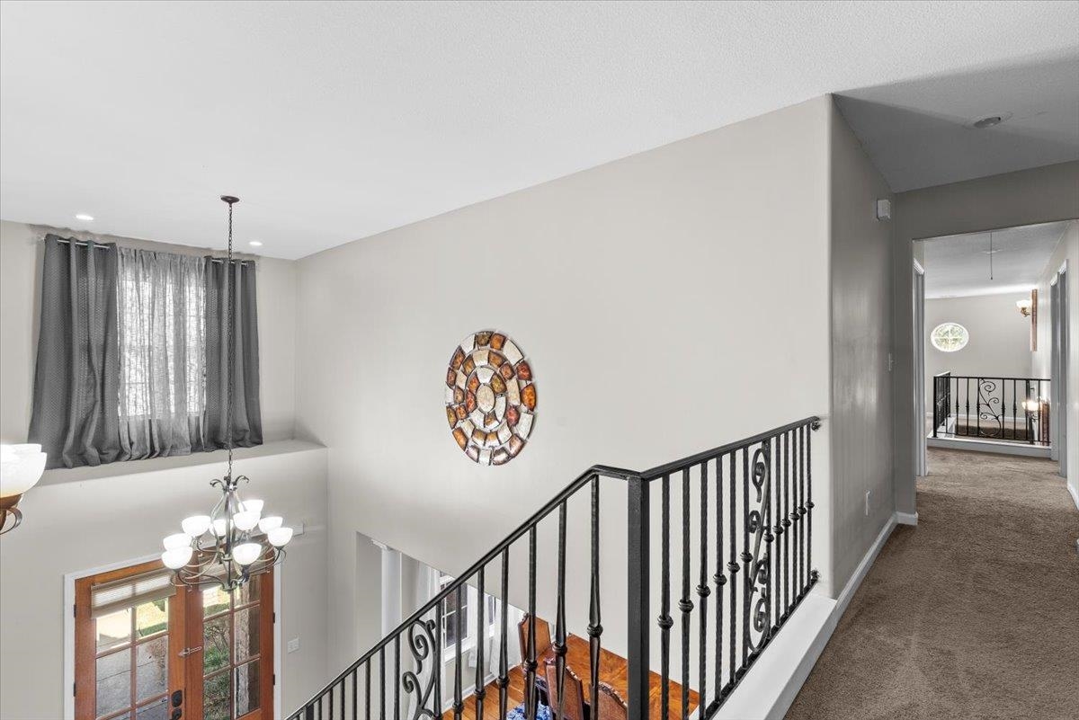 8051 LAUREL TREE CV