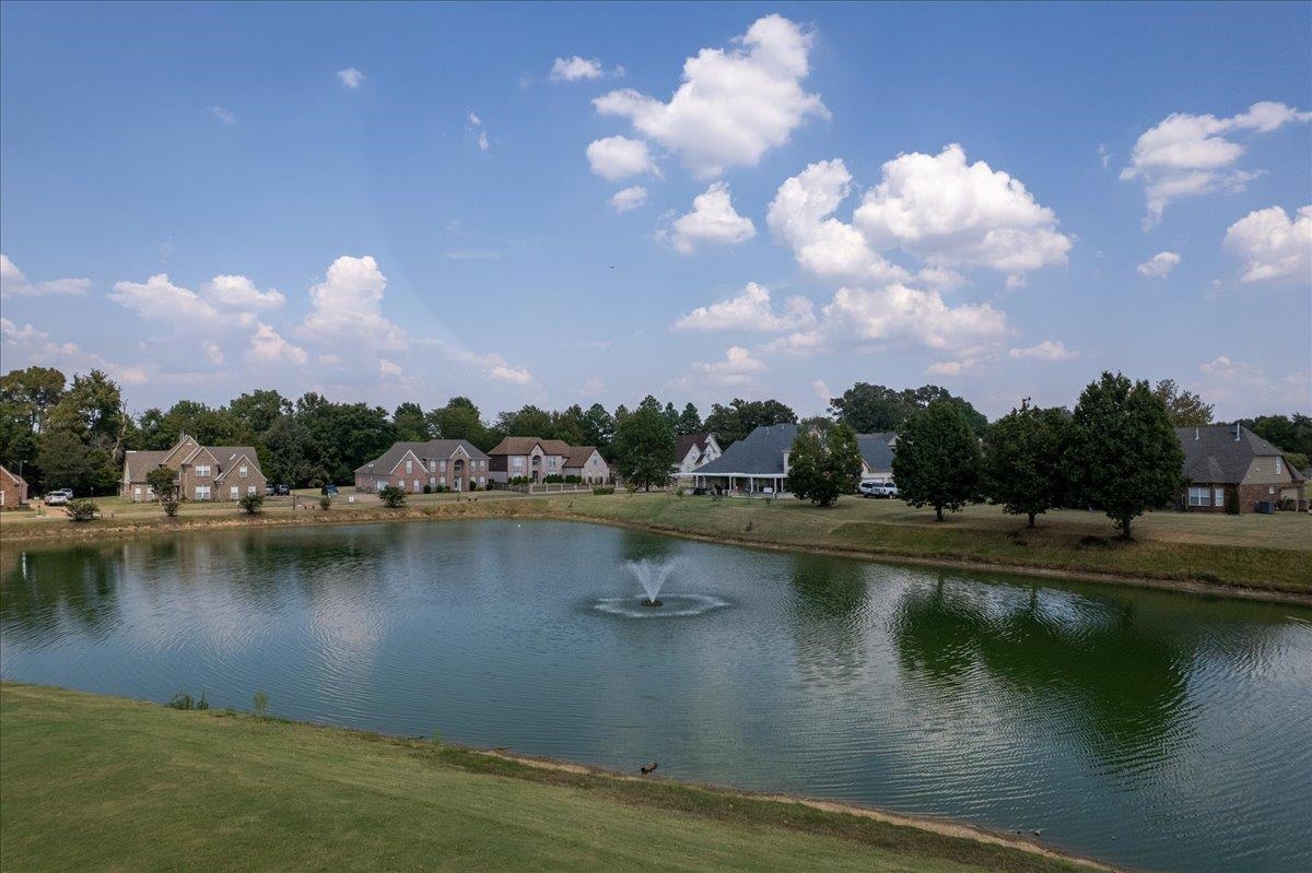 8051 LAUREL TREE CV