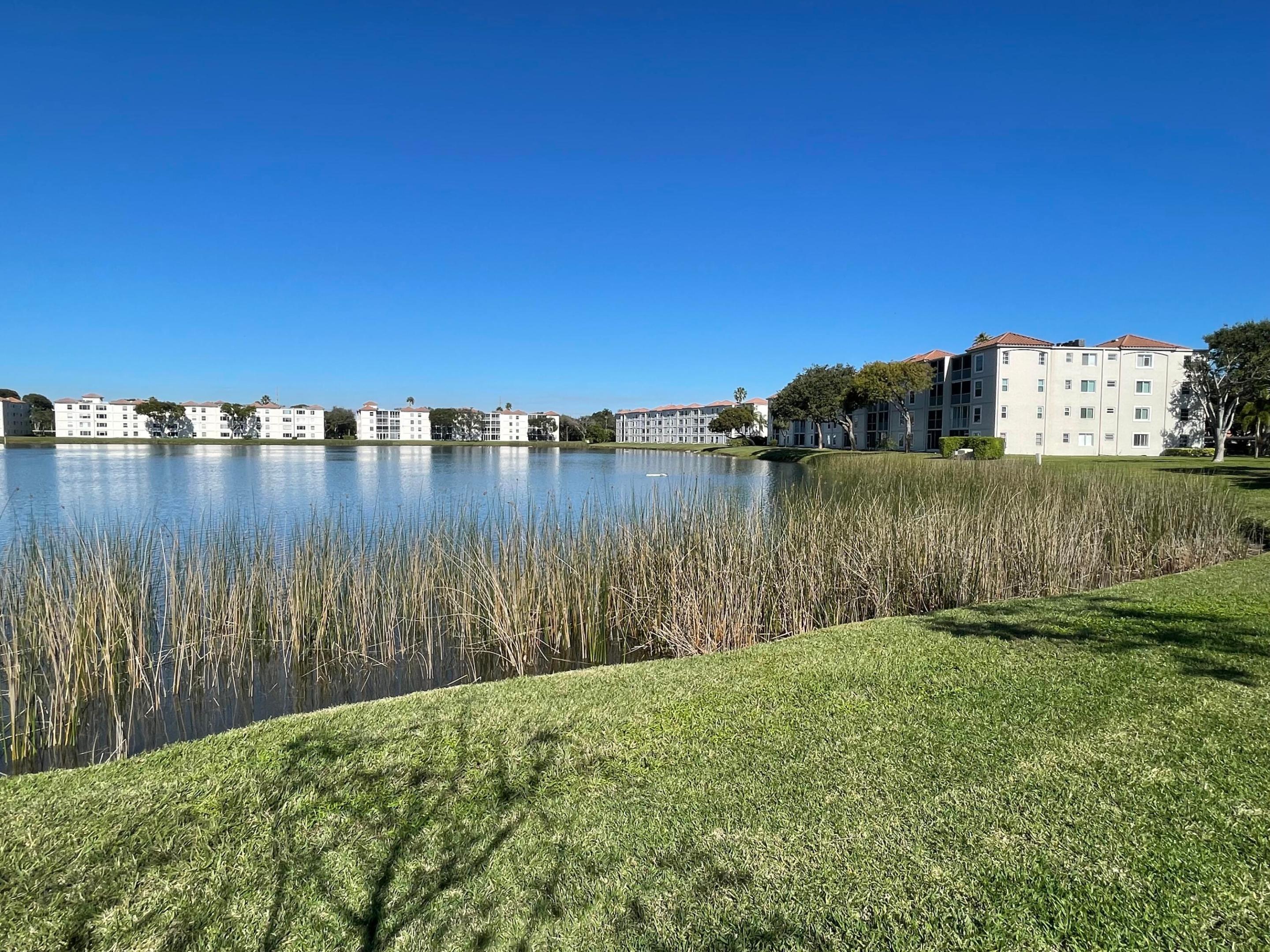 14111 Royal Vista Drive 202