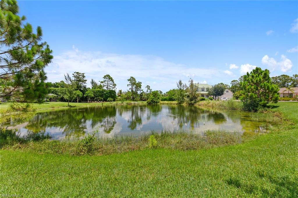 10011 Hidden Pines LN