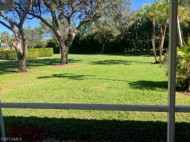 136 Lady Palm DR
