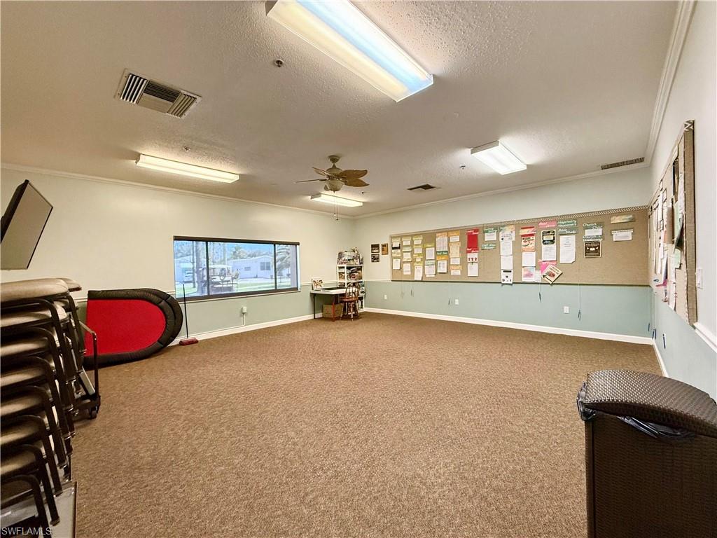 549 Cheetah DR