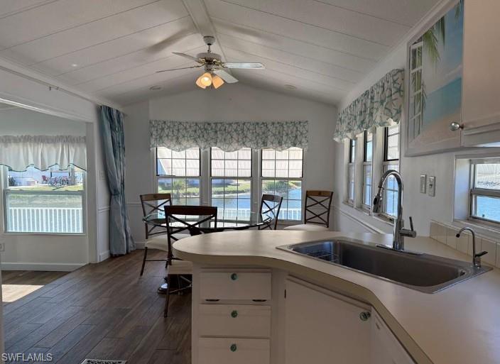 553 Cattleya Refuge