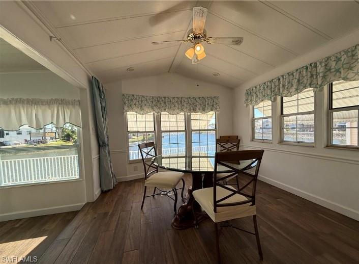 553 Cattleya Refuge