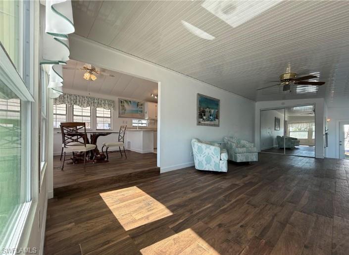 553 Cattleya Refuge