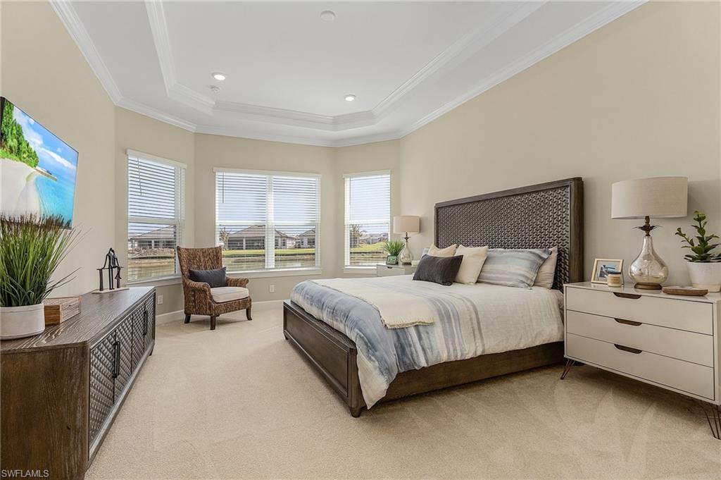11913 Noveli CT