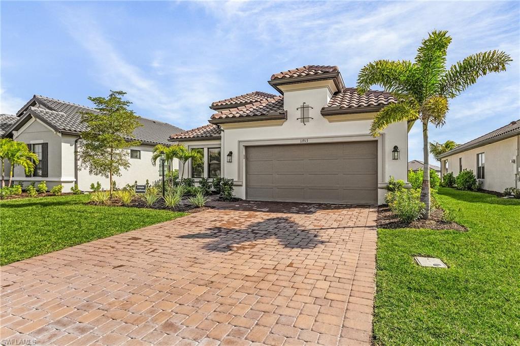 11913 Noveli CT
