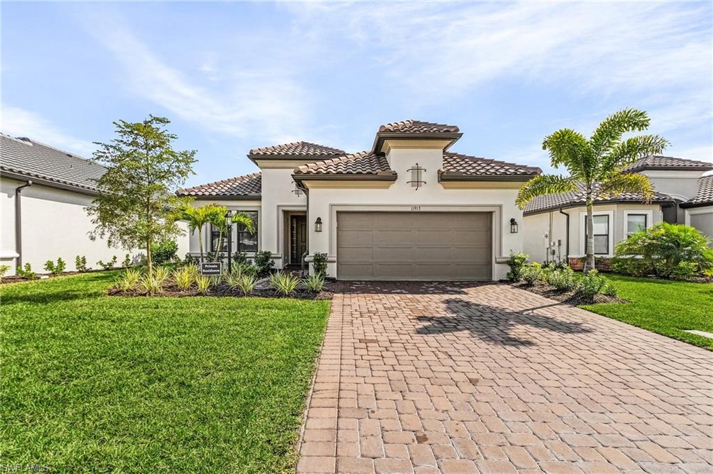 11913 Noveli CT