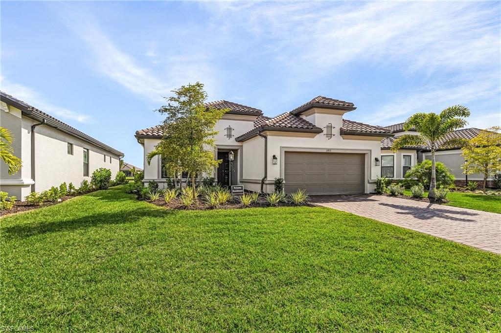 11913 Noveli CT