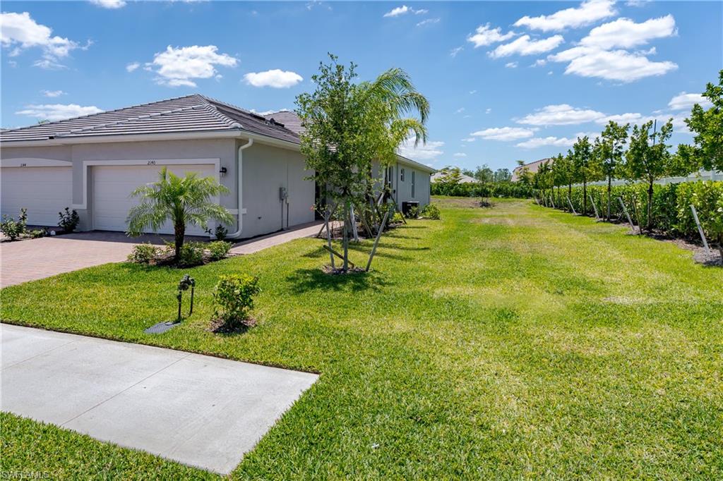 2140 Dragonfruit WAY