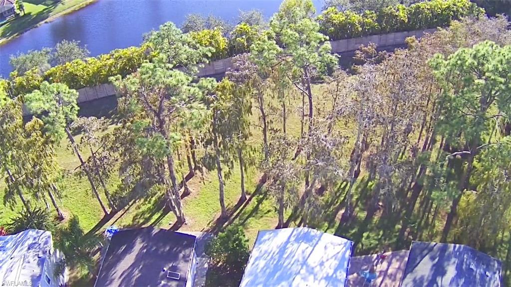 91 Vanda Sanctuary 91