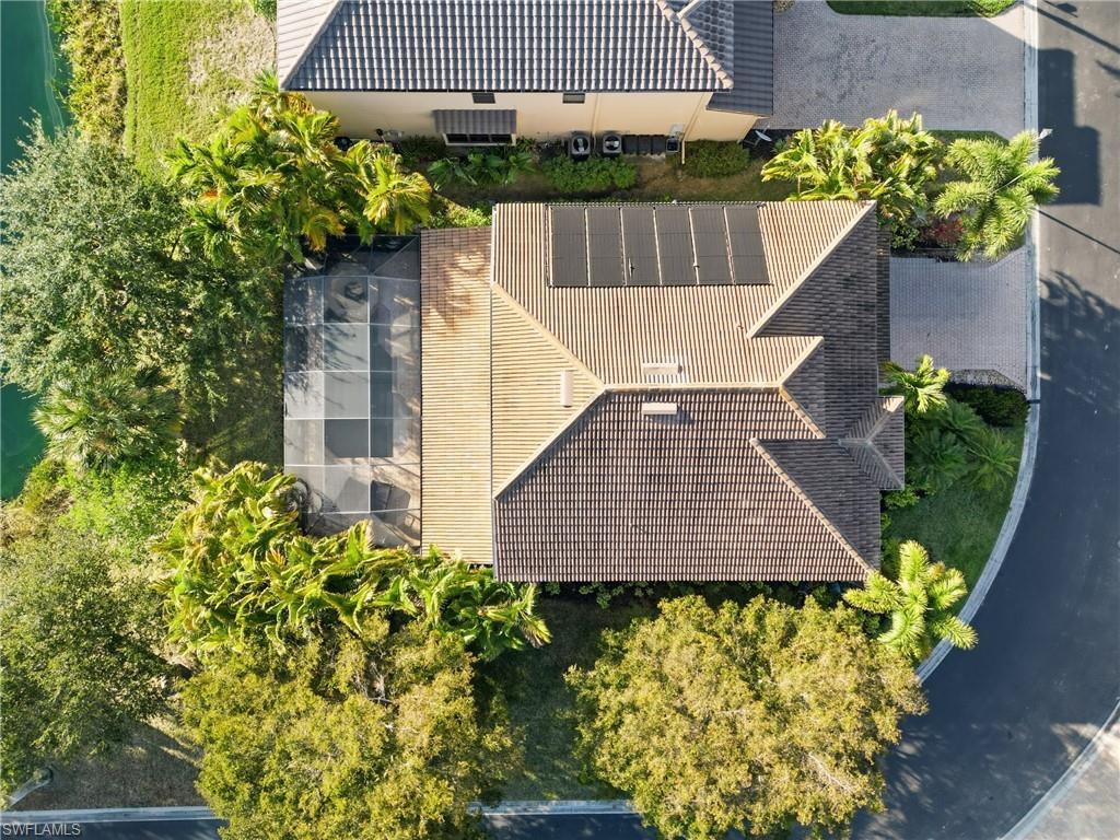 8843 Tropical CT