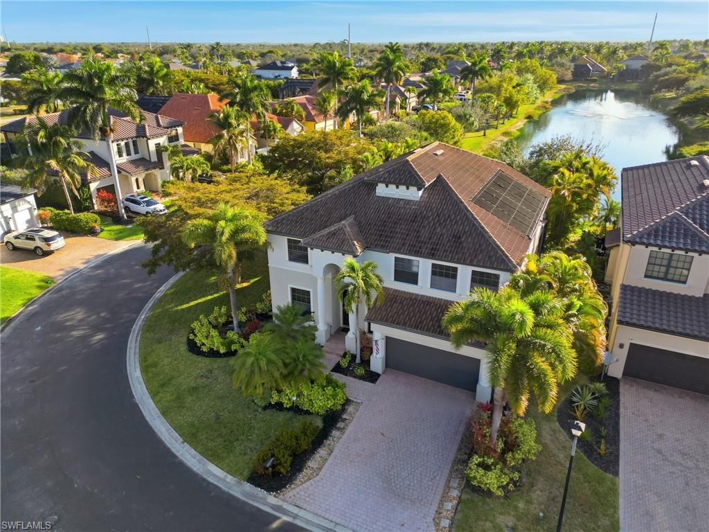 8843 Tropical CT