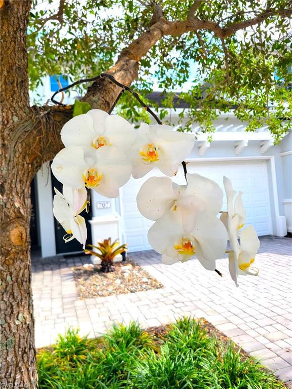 6954 Avalon CIR 703
