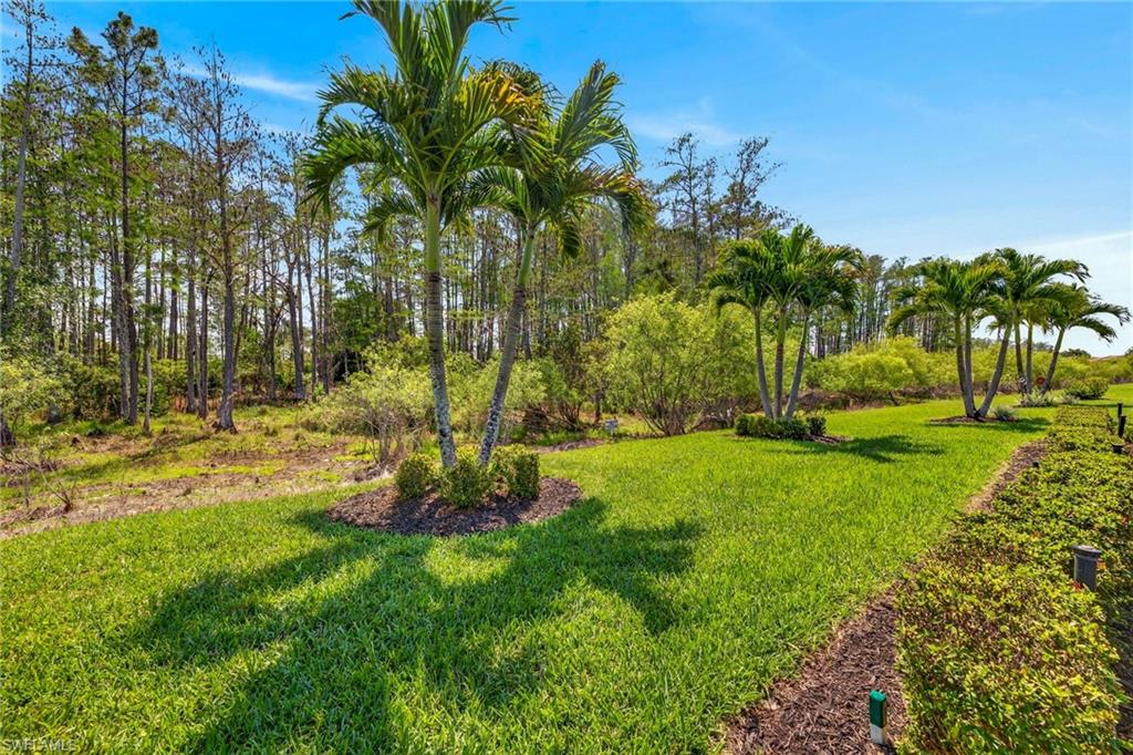 11543 Golden Oak TER