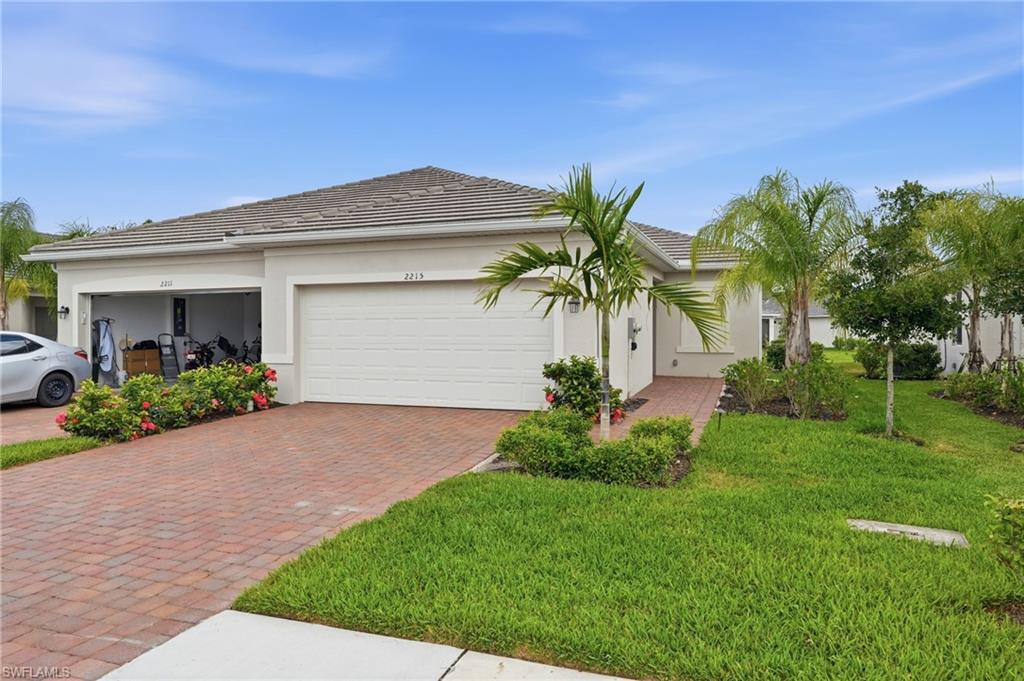 2215 Dragonfruit WAY