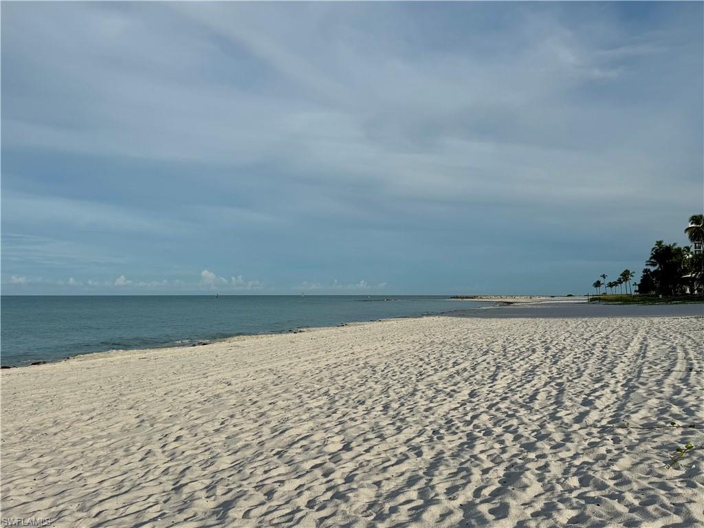 2150 Gulf Shore BLVD N 411