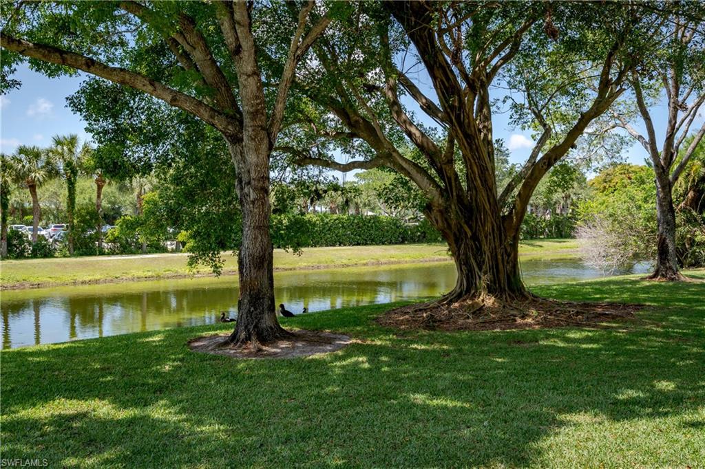 5419 Rattlensake Hammock RD 307F