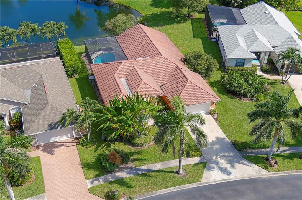 1951 Terrazzo LN