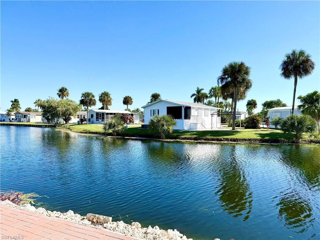 554 Cattleya Refuge 554