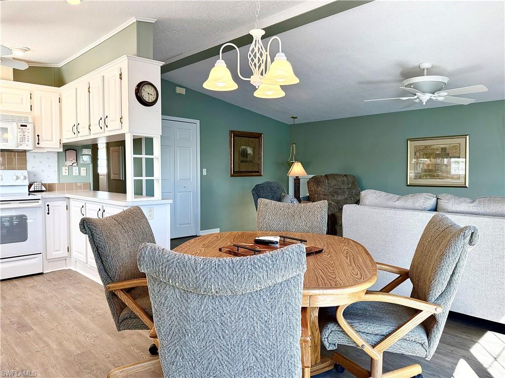 554 Cattleya Refuge 554