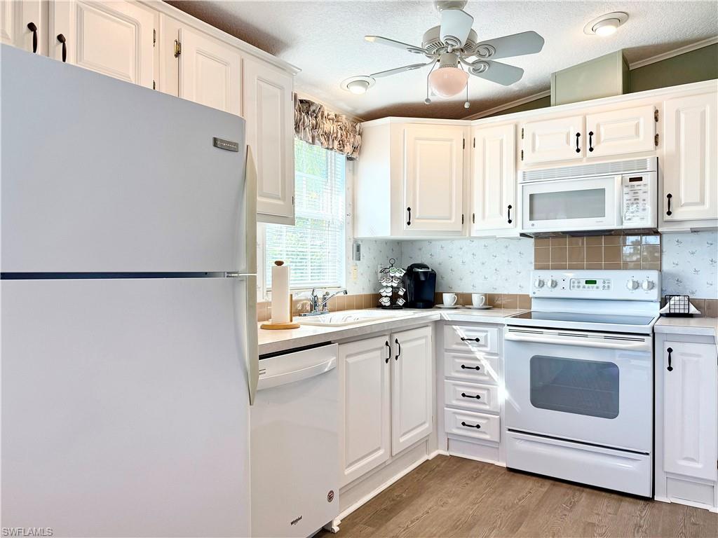 554 Cattleya Refuge 554