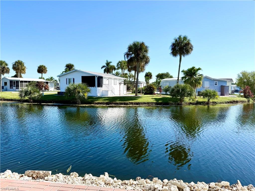 554 Cattleya Refuge 554