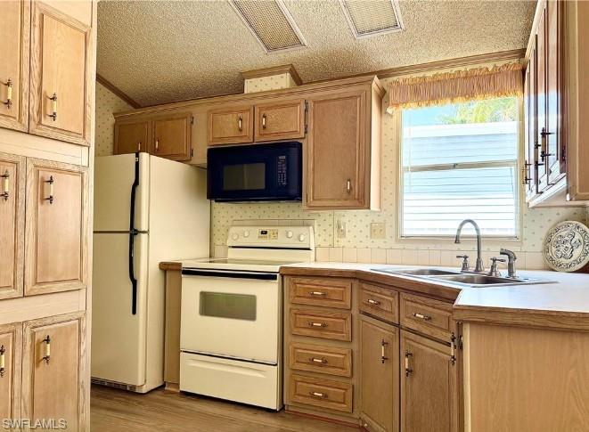 251 Bass LN 251
