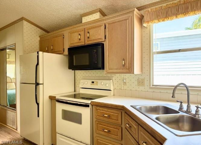 251 Bass LN 251