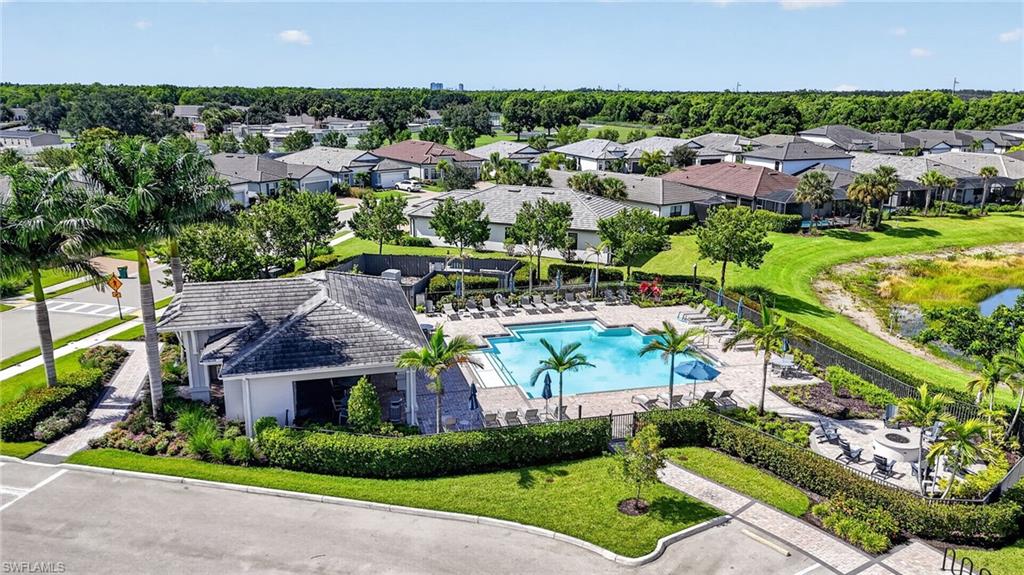 1955 Tripletail LN