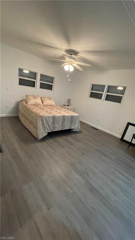 16230 Cynthia CT