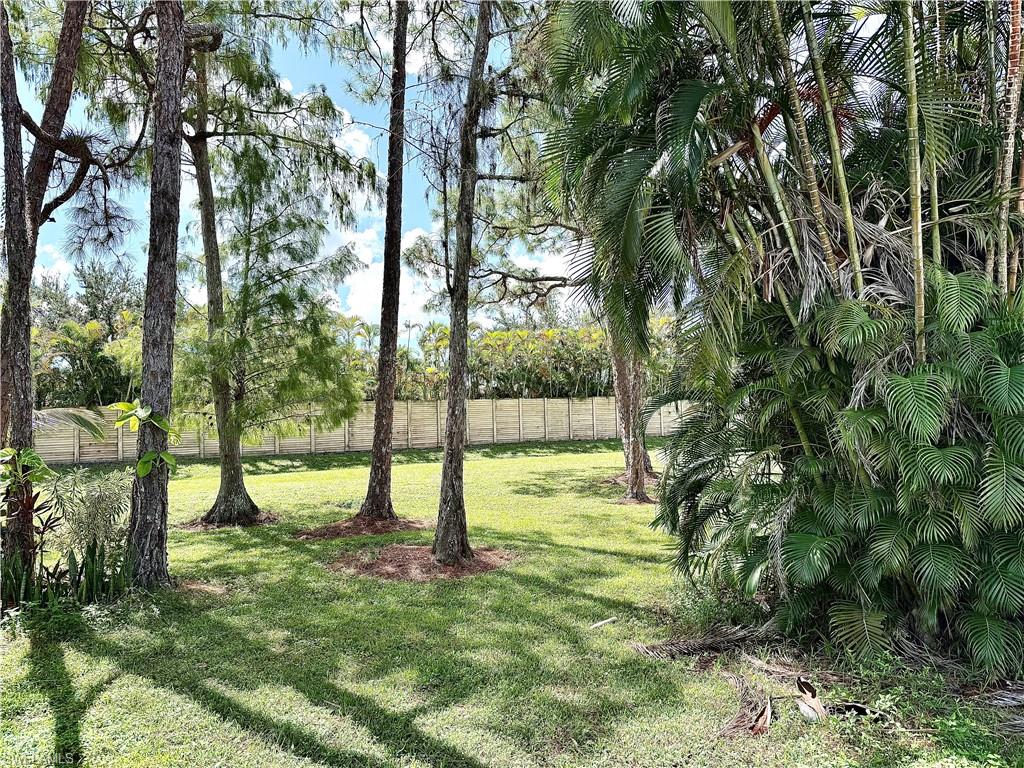 83 Vanda Sanctuary LN