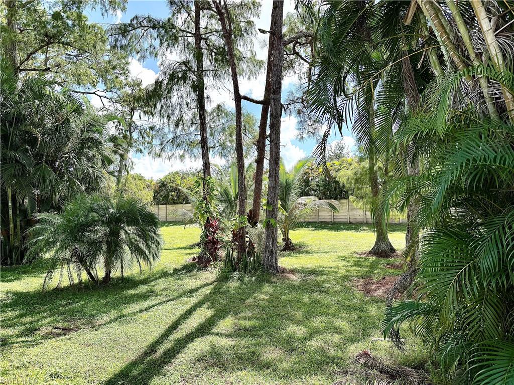 83 Vanda Sanctuary LN