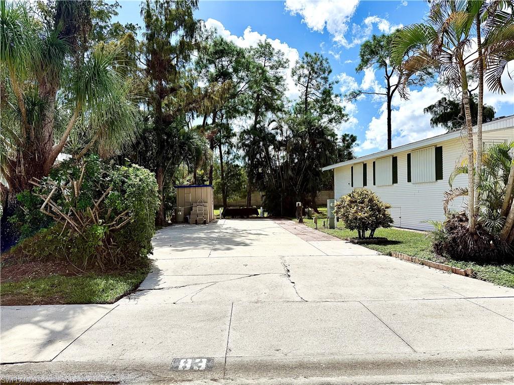 83 Vanda Sanctuary LN