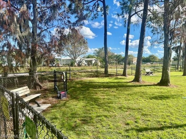 83 Vanda Sanctuary LN