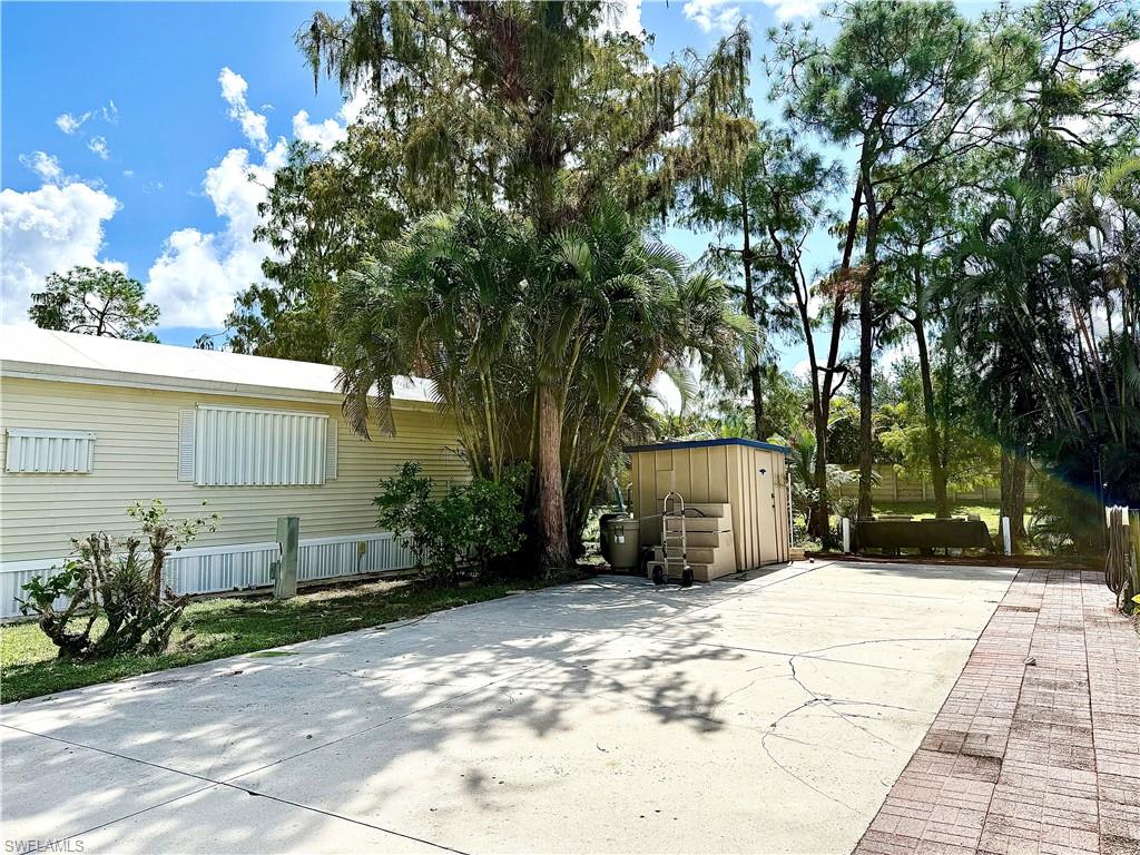 83 Vanda Sanctuary LN