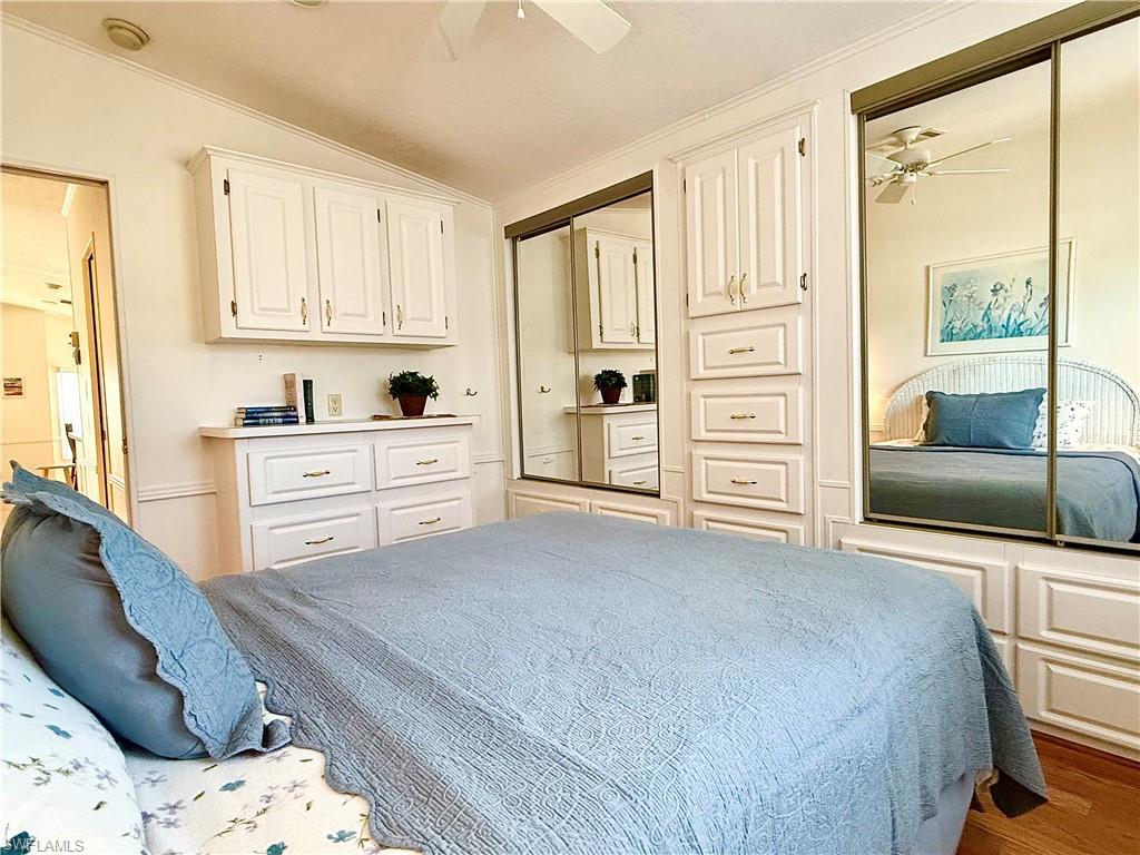 558 Cattleya Refuge 558