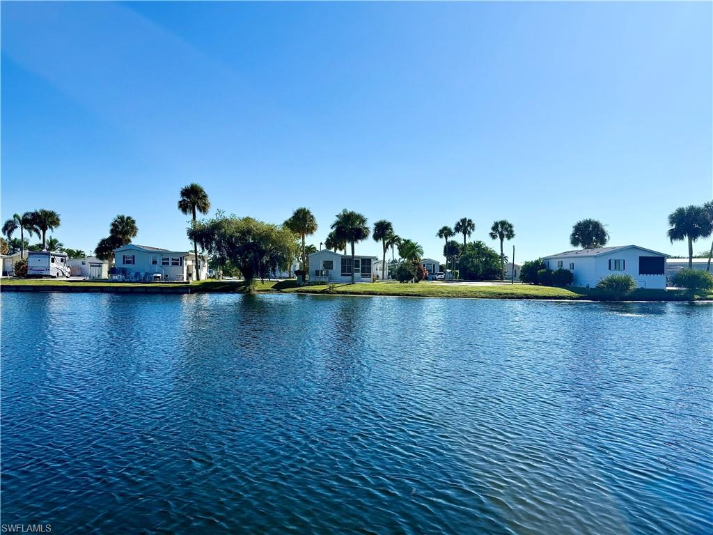 558 Cattleya Refuge 558