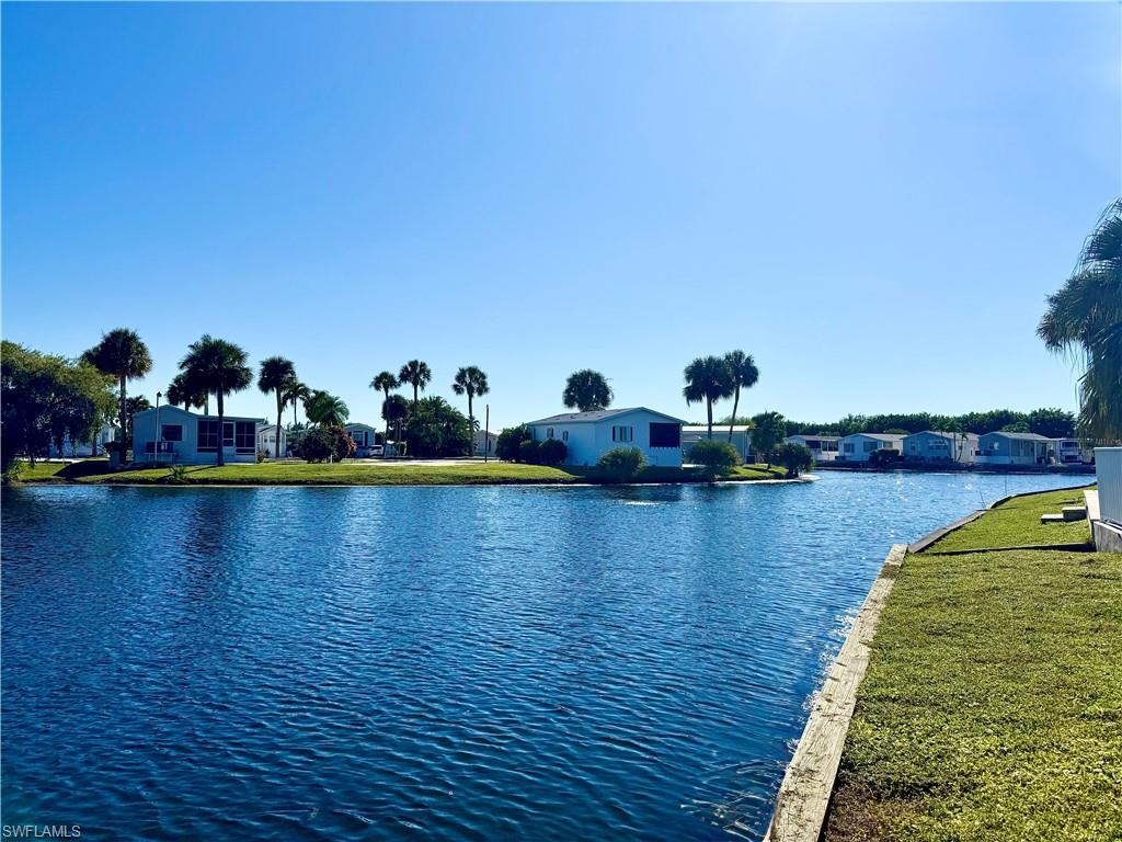 558 Cattleya Refuge 558