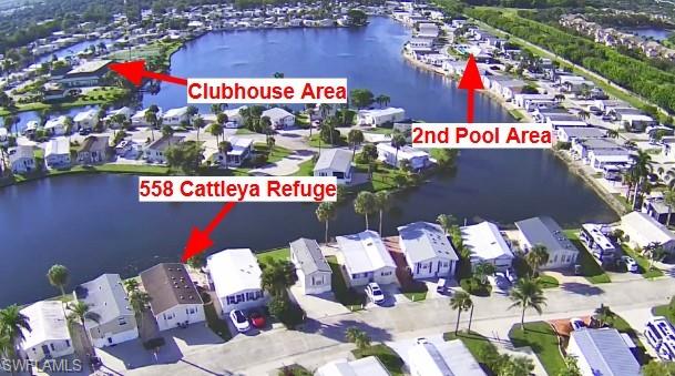 558 Cattleya Refuge 558