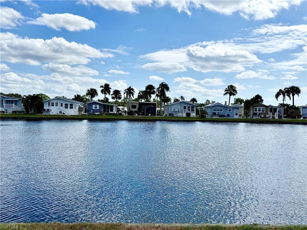 561 Cattleya Refuge 561