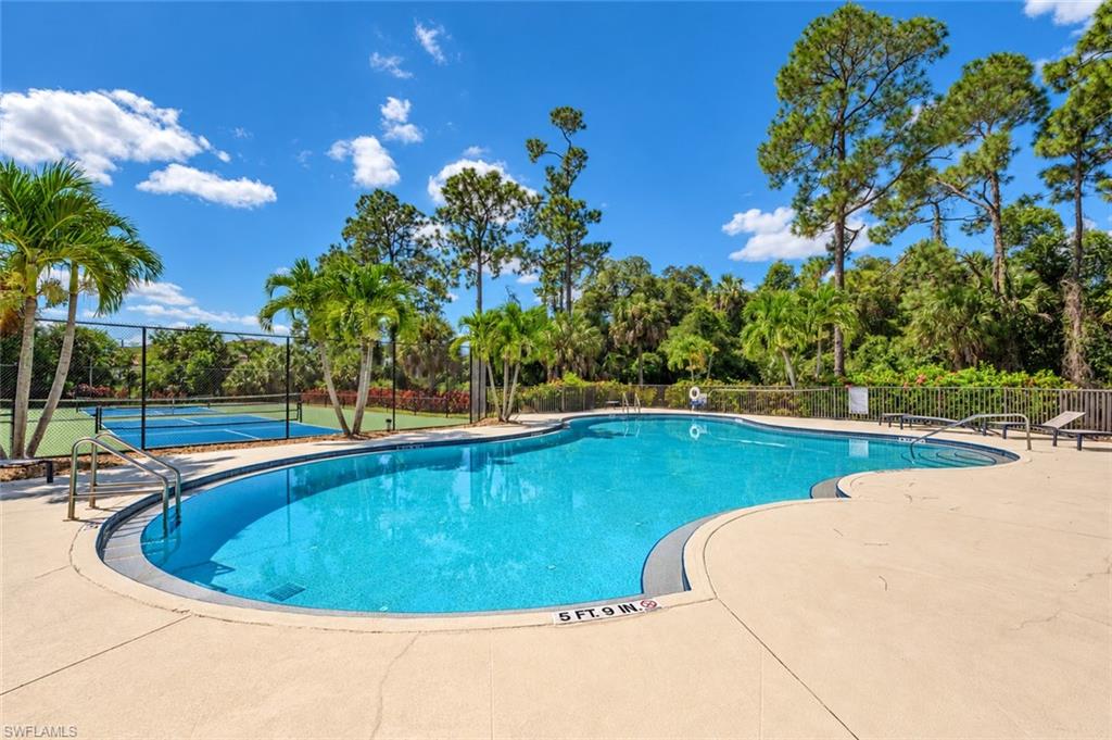 1955 Terrazzo LN