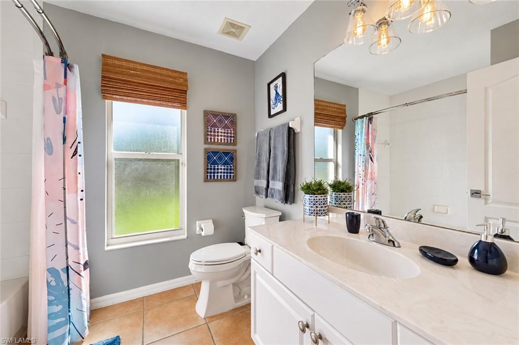 1955 Terrazzo LN