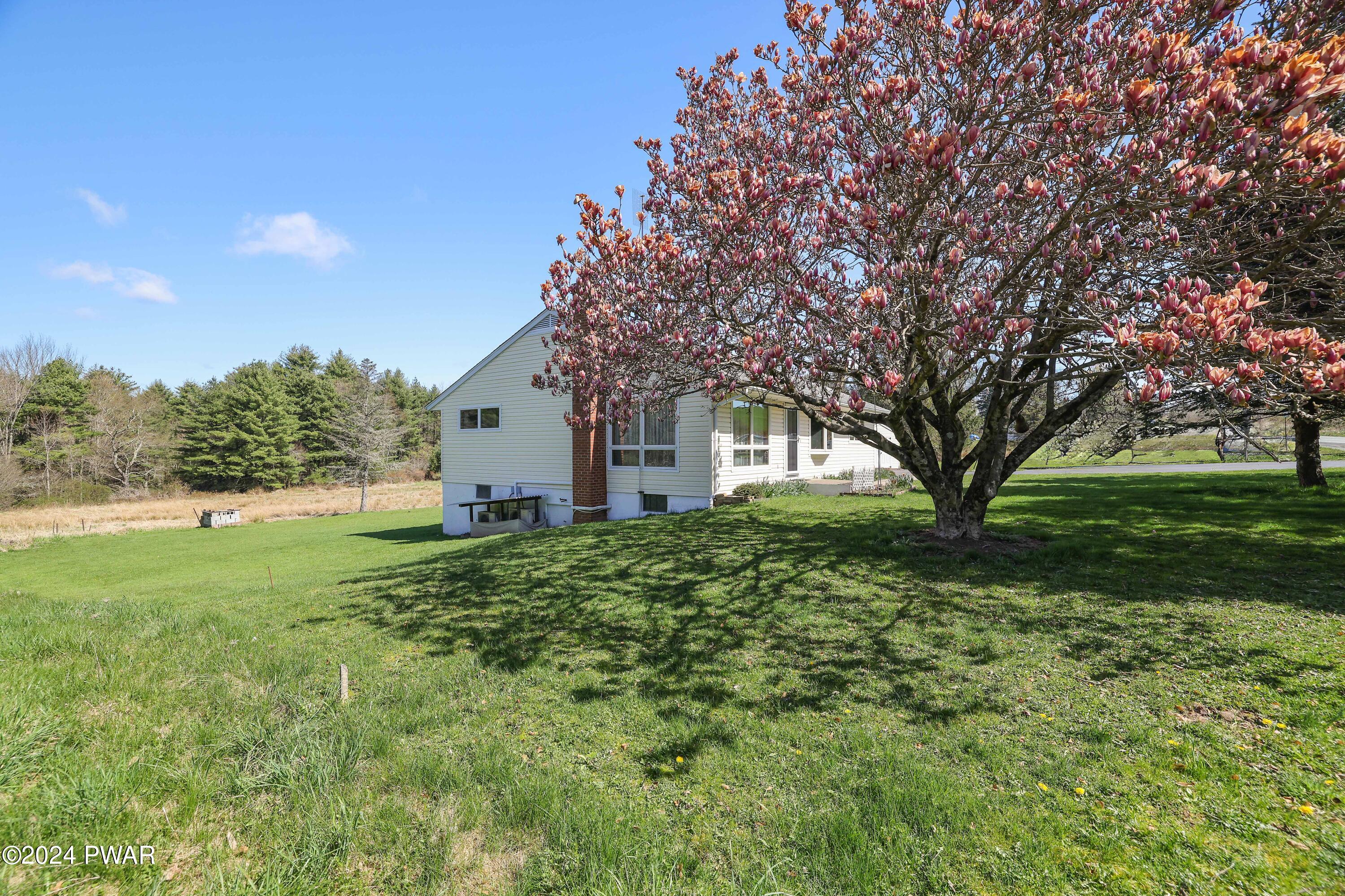 421 Beach Lake Highway