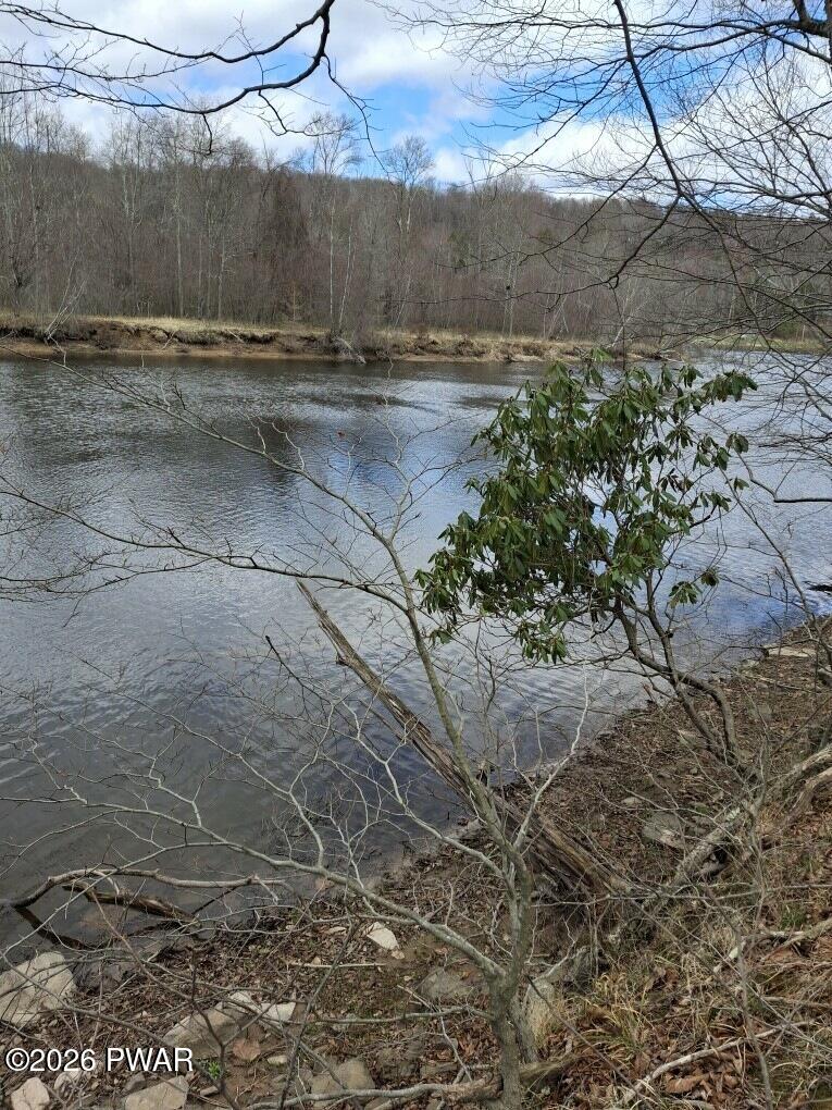 174-175R Rainbow Trout Terrace