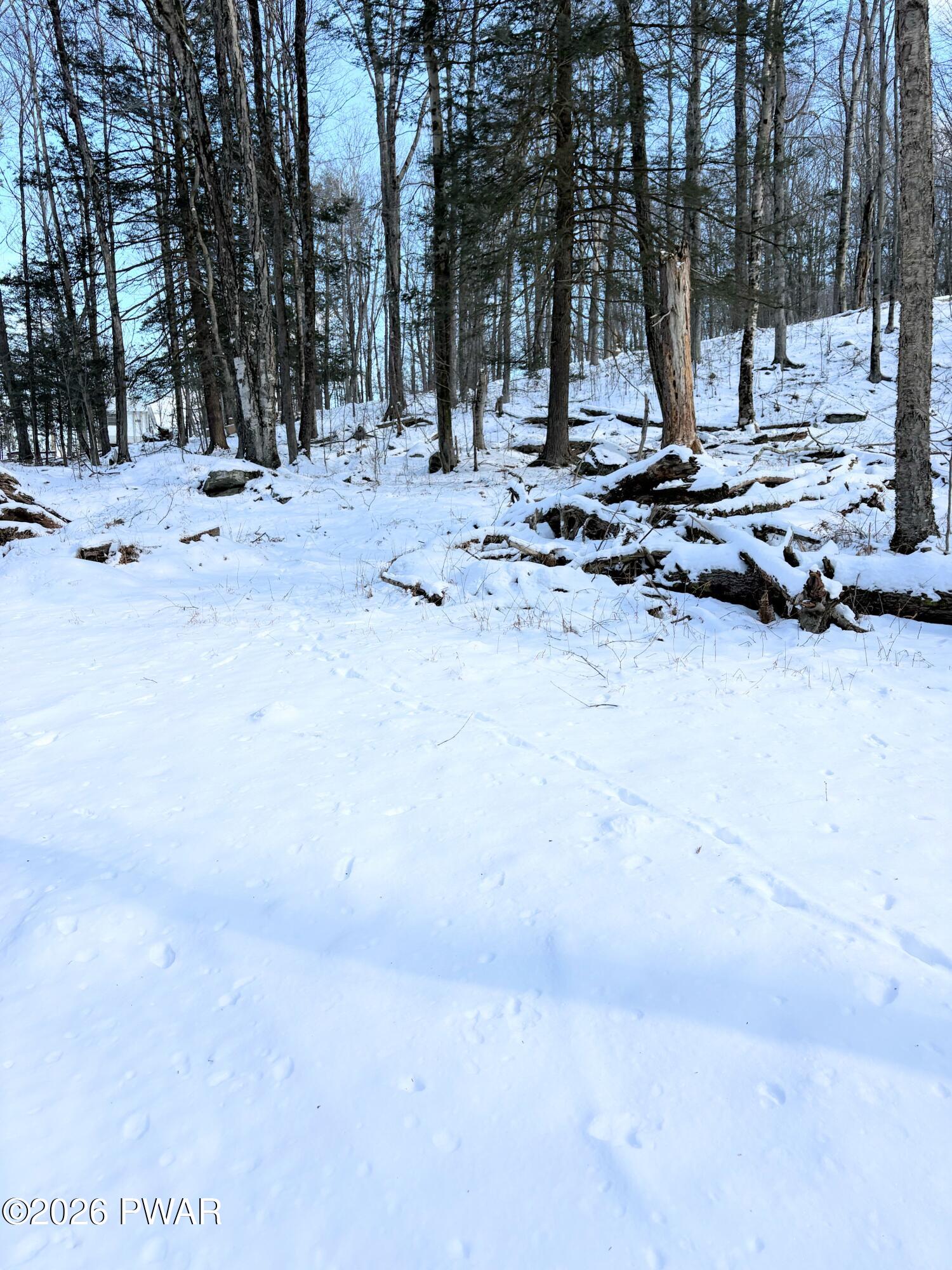 174-175R Rainbow Trout Terrace