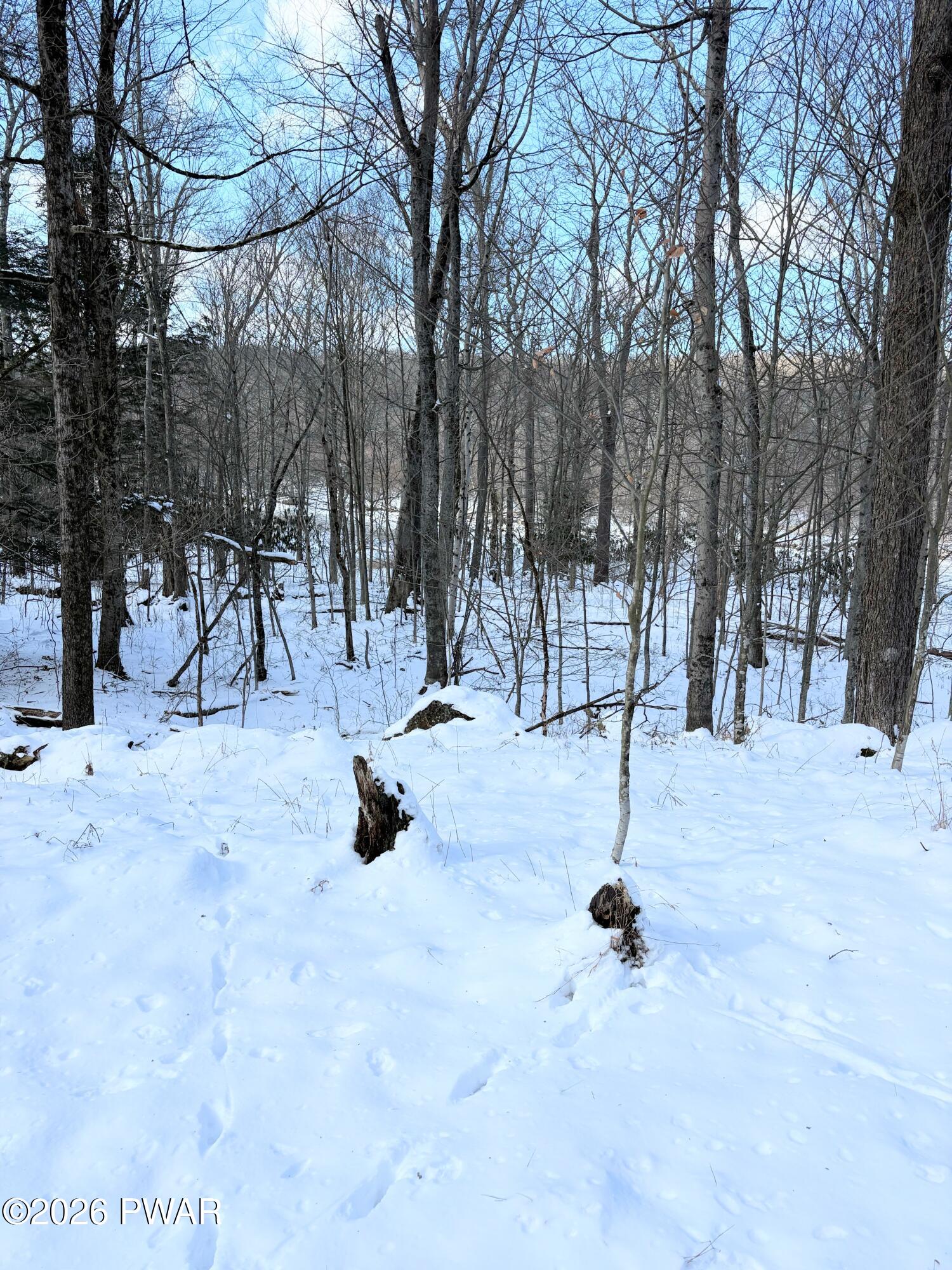 174-175R Rainbow Trout Terrace