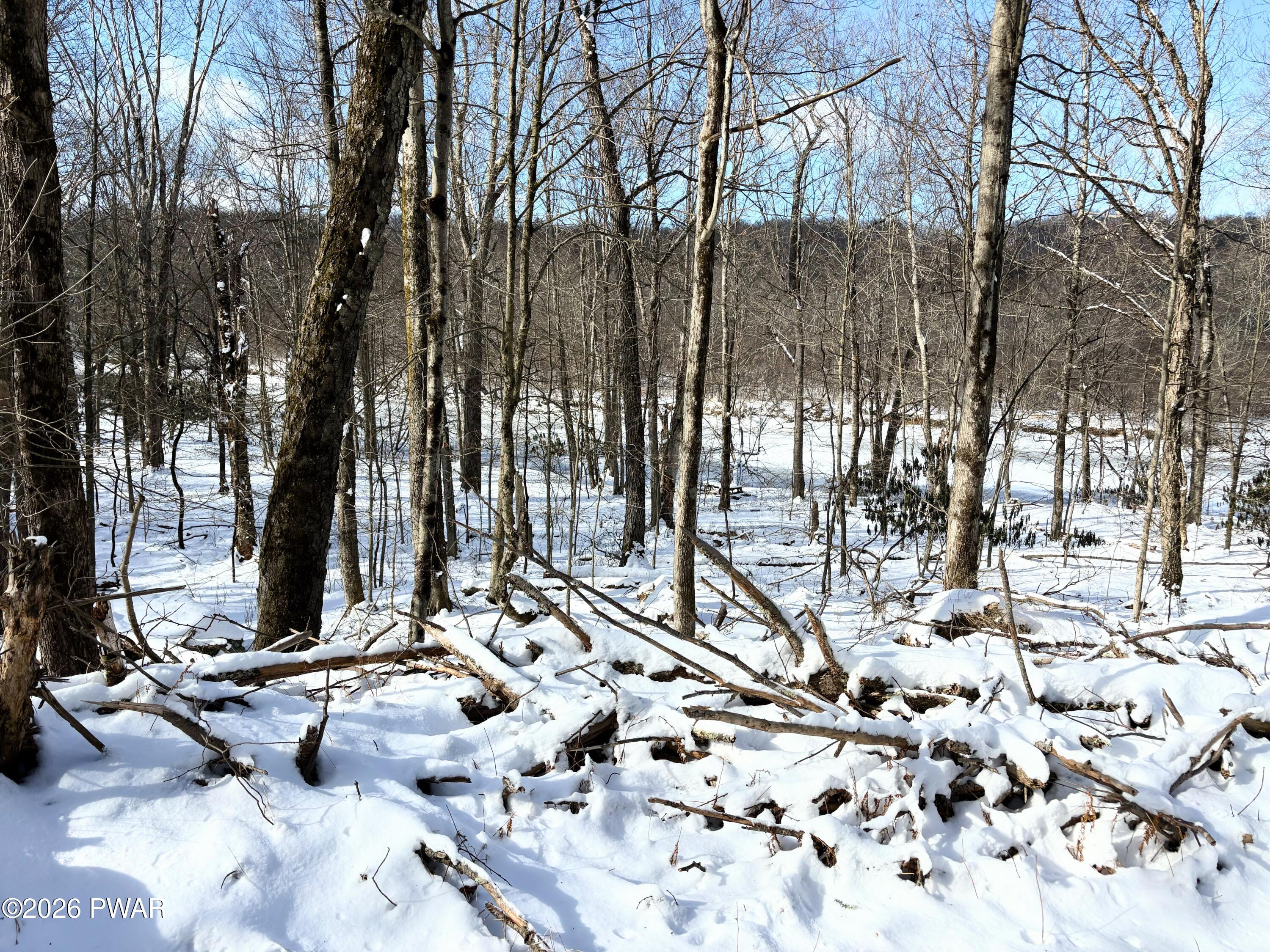 174-175R Rainbow Trout Terrace